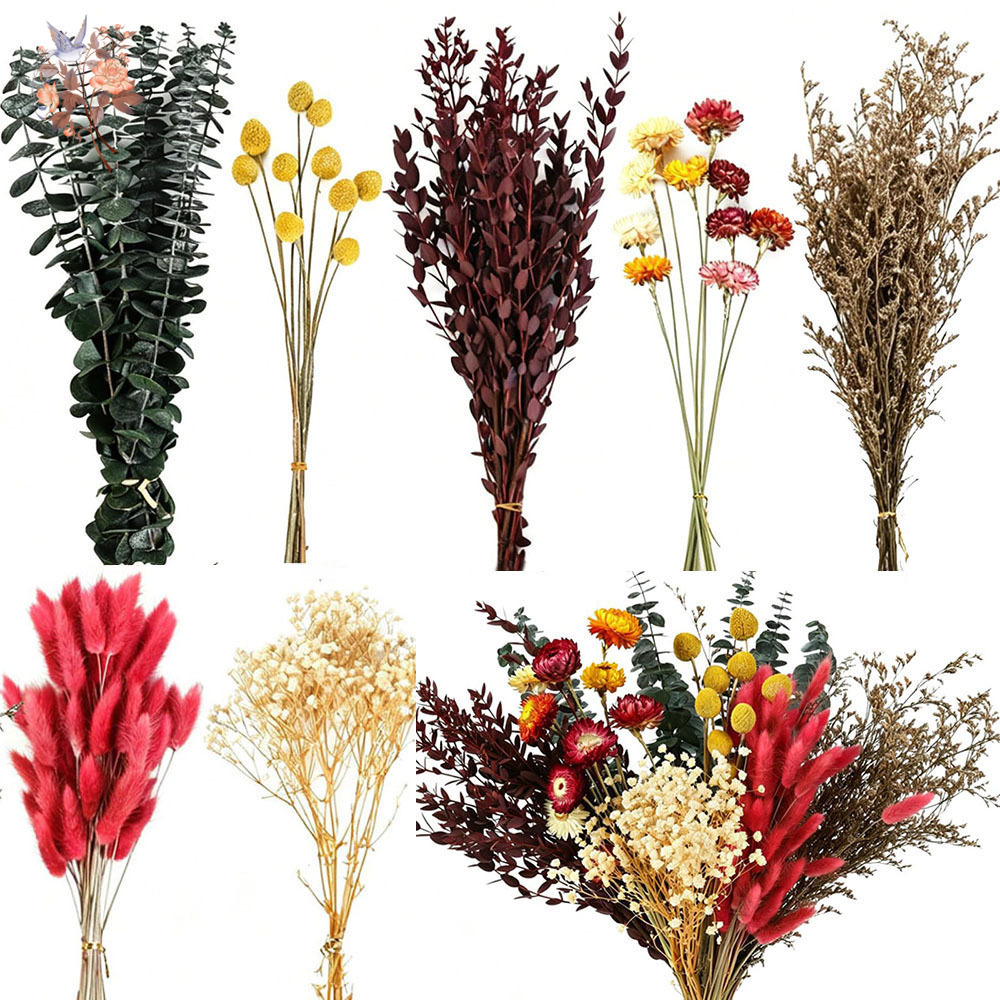 Florist Flower Supply - Zestaw suszonych kwiatów, 7 gatunków, naturalne