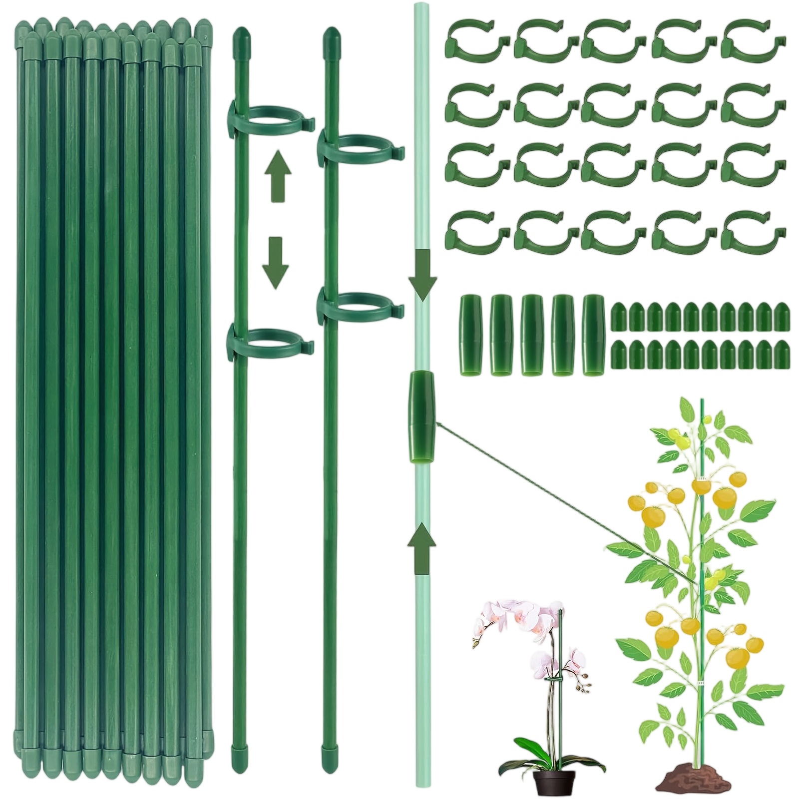 Florist Supply Bulk - Podpórki do roślin, pręty, pojedyncze podpórki