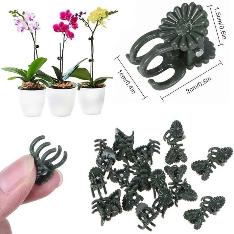 50 szt. 5-ramiennych ciemnozie – Florist Supply Bulk recenzja i cena