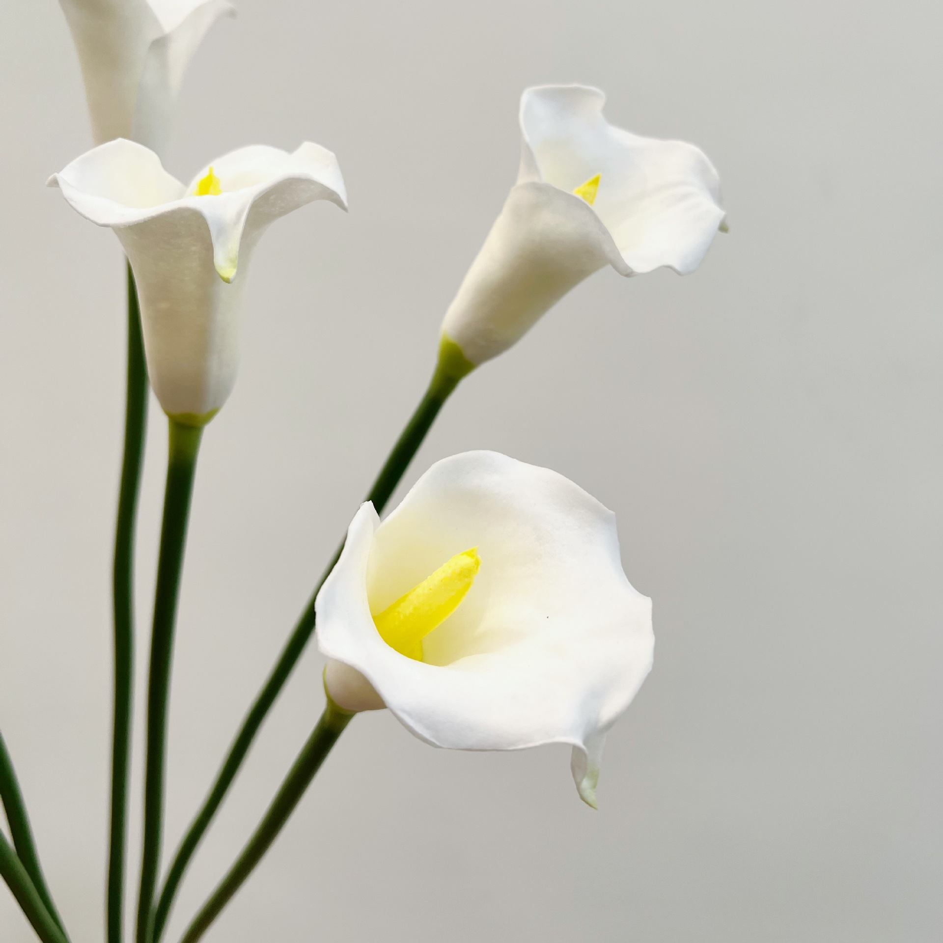 Sztuczny kwiat kala w kształci – Florist Supply Bulk recenzja i cena